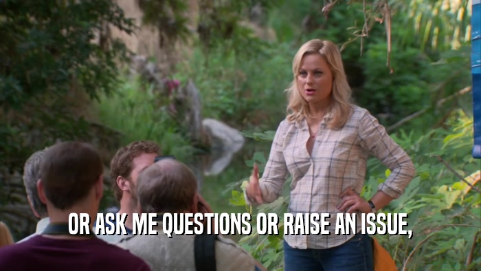 OR ASK ME QUESTIONS OR RAISE AN ISSUE,  