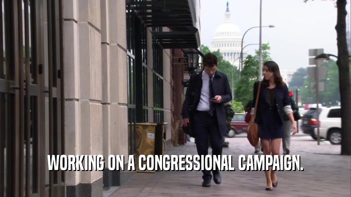 WORKING ON A CONGRESSIONAL CAMPAIGN.
  
