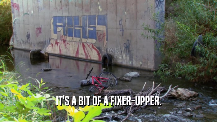 IT'S A BIT OF A FIXER-UPPER.  