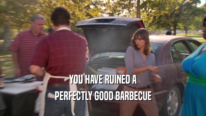 YOU HAVE RUINED A PERFECTLY GOOD BARBECUE 