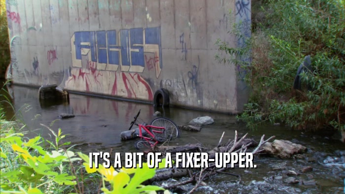 IT'S A BIT OF A FIXER-UPPER.  