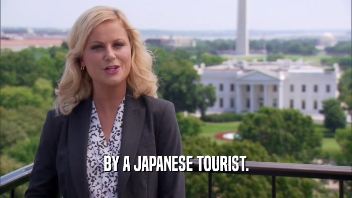 BY A JAPANESE TOURIST.  