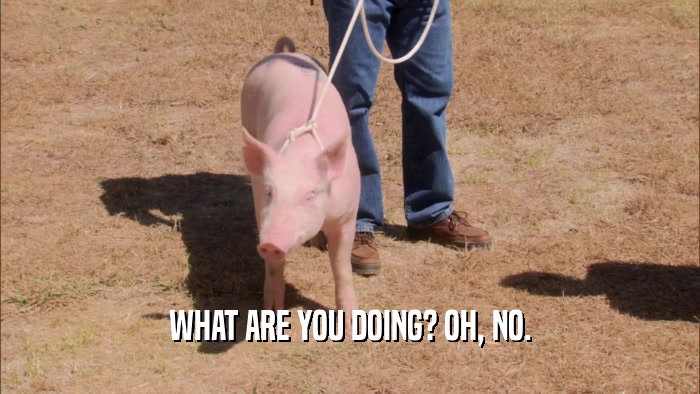 WHAT ARE YOU DOING? OH, NO.  