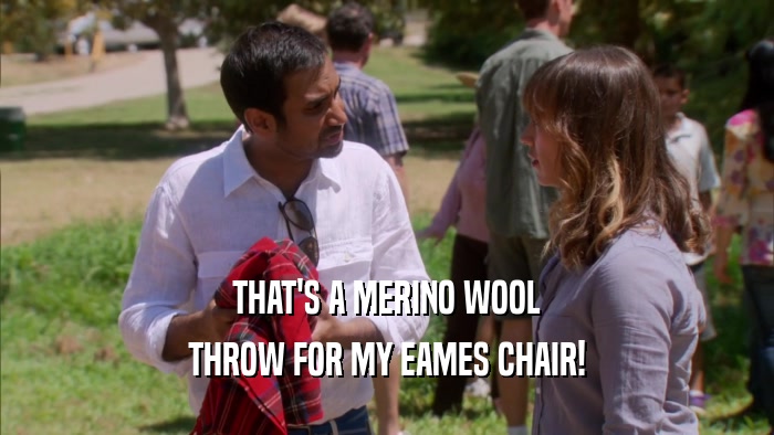 THAT'S A MERINO WOOL THROW FOR MY EAMES CHAIR! 