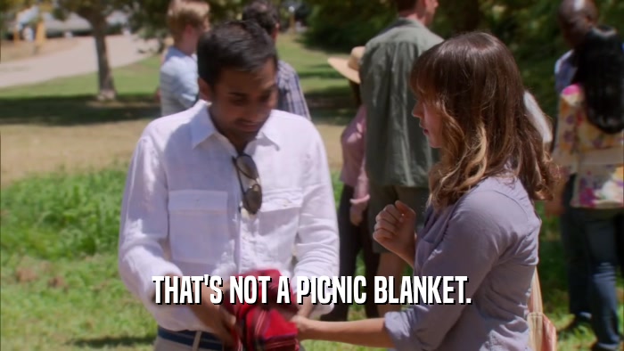 THAT'S NOT A PICNIC BLANKET.  