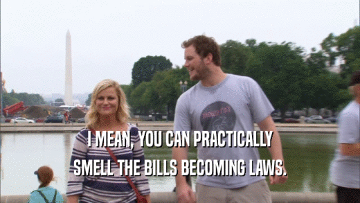 I MEAN, YOU CAN PRACTICALLY SMELL THE BILLS BECOMING LAWS. 