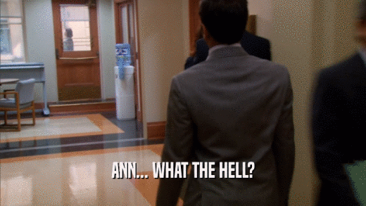 ANN... WHAT THE HELL?  