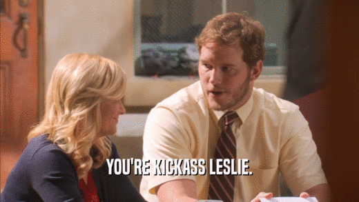 YOU'RE KICKASS LESLIE.  