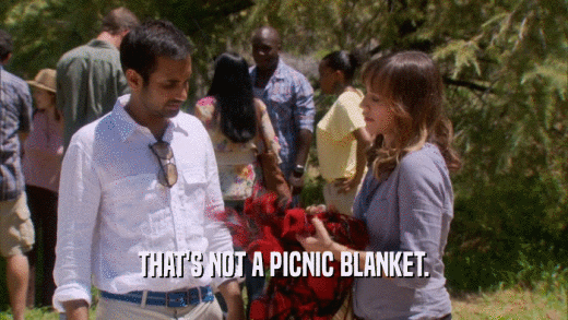 THAT'S NOT A PICNIC BLANKET.  