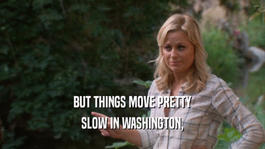 BUT THINGS MOVE PRETTY SLOW IN WASHINGTON, 