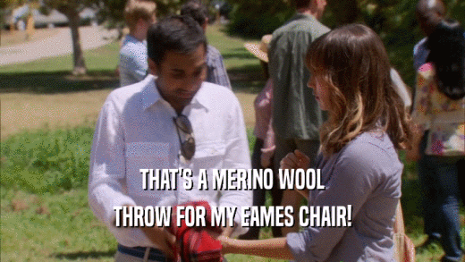 THAT'S A MERINO WOOL THROW FOR MY EAMES CHAIR! 