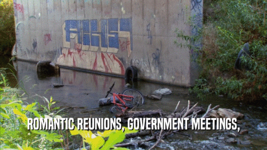 ROMANTIC REUNIONS, GOVERNMENT MEETINGS,  