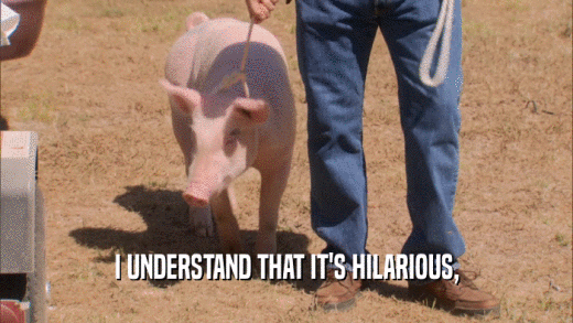 I UNDERSTAND THAT IT'S HILARIOUS,  