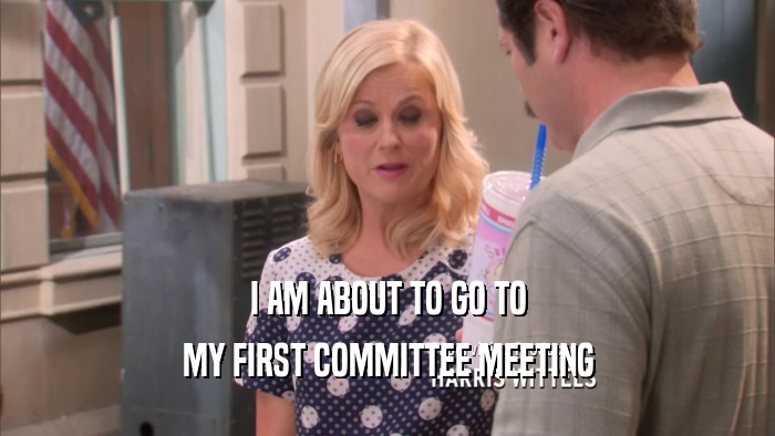 I AM ABOUT TO GO TO MY FIRST COMMITTEE MEETING 