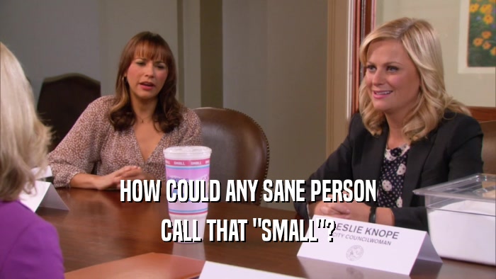 HOW COULD ANY SANE PERSON CALL THAT 