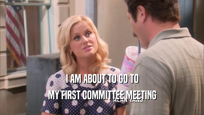 I AM ABOUT TO GO TO MY FIRST COMMITTEE MEETING 