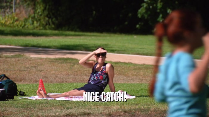 NICE CATCH!  