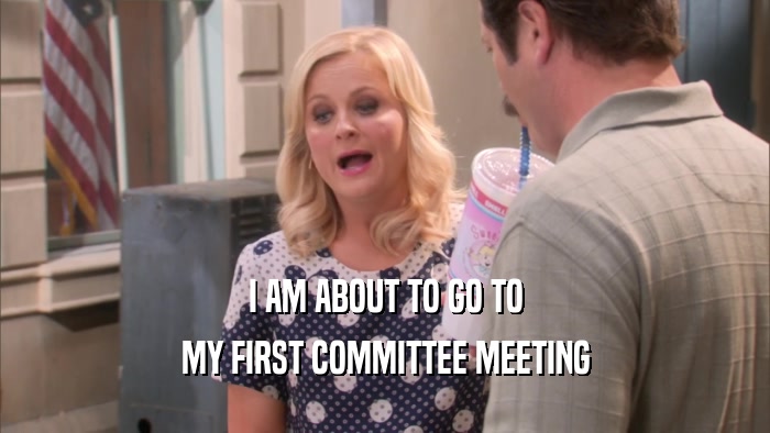 I AM ABOUT TO GO TO MY FIRST COMMITTEE MEETING 