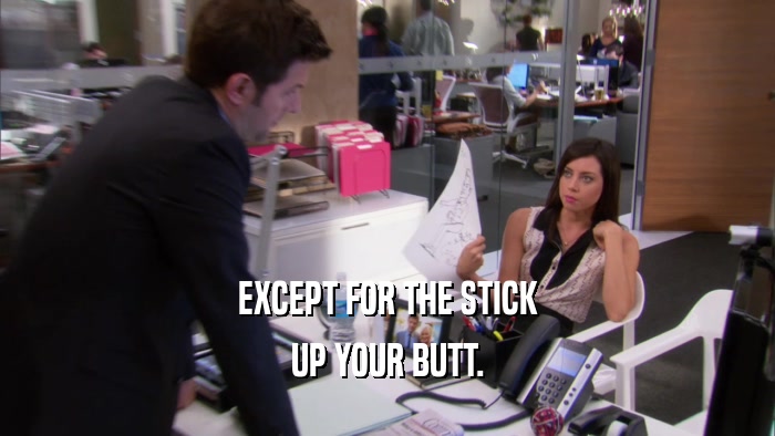 EXCEPT FOR THE STICK UP YOUR BUTT. 