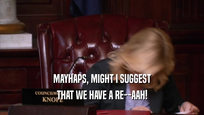 MAYHAPS, MIGHT I SUGGEST THAT WE HAVE A RE--AAH! 