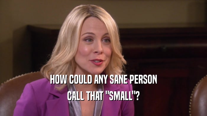 HOW COULD ANY SANE PERSON CALL THAT 