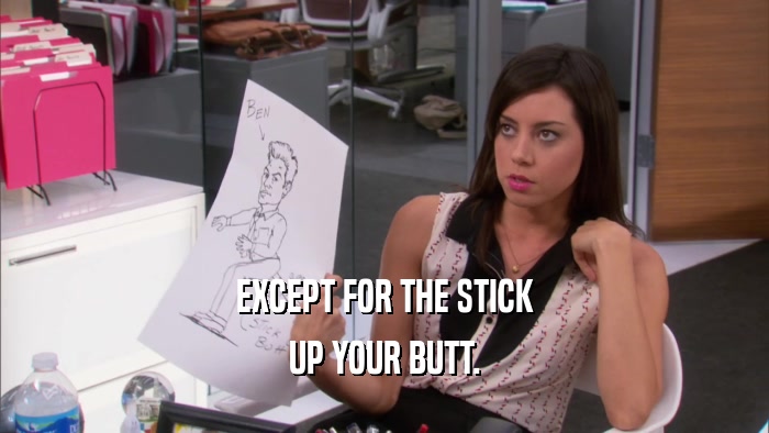 EXCEPT FOR THE STICK UP YOUR BUTT. 