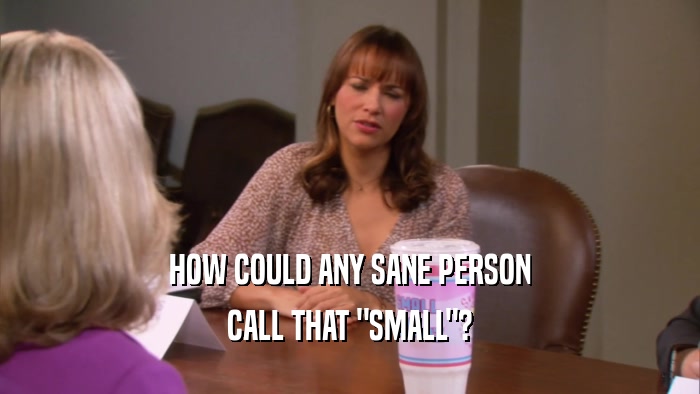 HOW COULD ANY SANE PERSON CALL THAT 