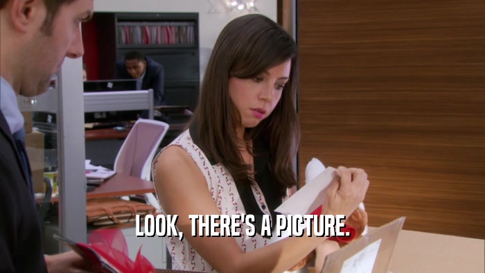 LOOK, THERE'S A PICTURE.  