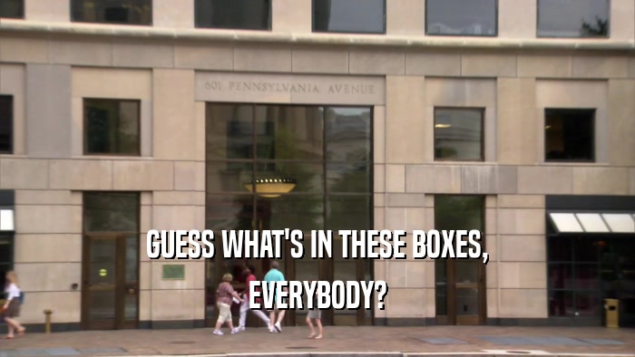 GUESS WHAT'S IN THESE BOXES, EVERYBODY? 