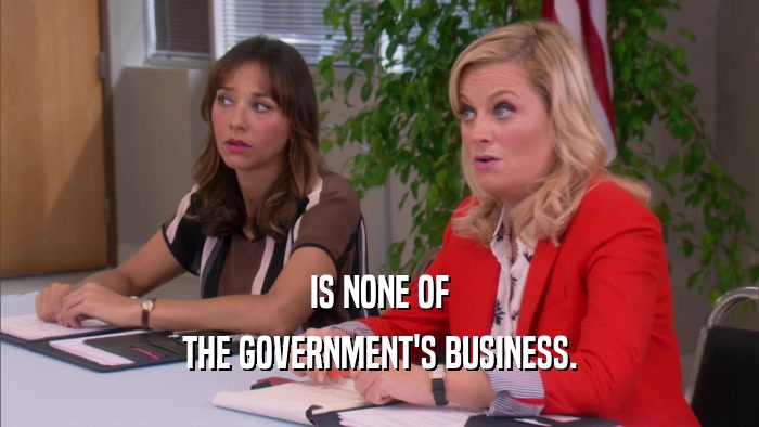 IS NONE OF
 THE GOVERNMENT'S BUSINESS.
 