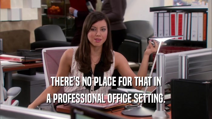 THERE'S NO PLACE FOR THAT IN A PROFESSIONAL OFFICE SETTING. 