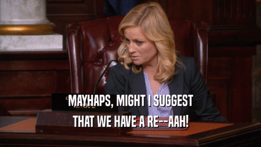 MAYHAPS, MIGHT I SUGGEST THAT WE HAVE A RE--AAH! 