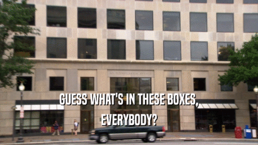 GUESS WHAT'S IN THESE BOXES, EVERYBODY? 