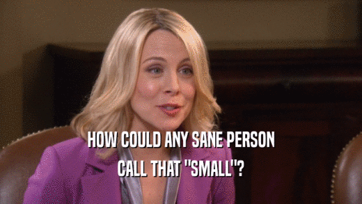 HOW COULD ANY SANE PERSON CALL THAT 