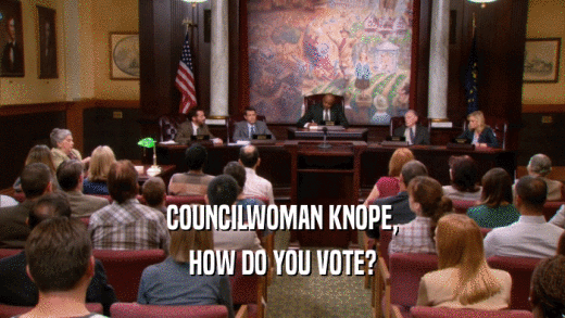 COUNCILWOMAN KNOPE, HOW DO YOU VOTE? 