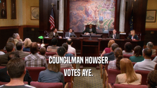 COUNCILMAN HOWSER VOTES AYE. 