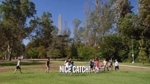 NICE CATCH!  