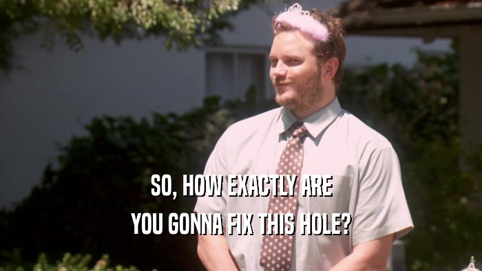 SO, HOW EXACTLY ARE YOU GONNA FIX THIS HOLE? 
