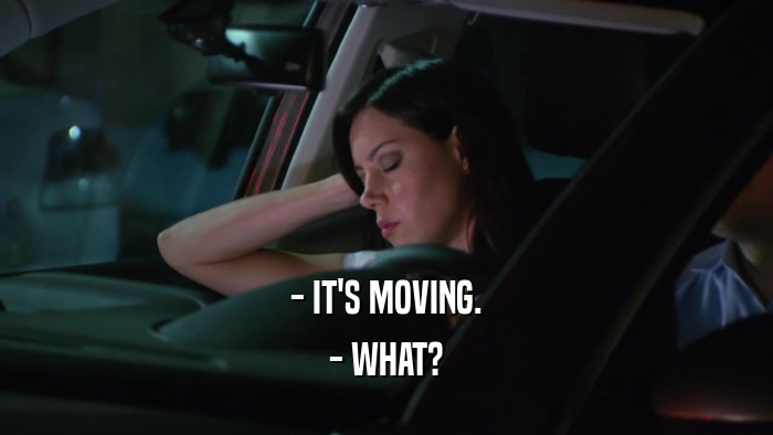 - IT'S MOVING. - WHAT? 