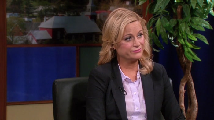 LESLIE, THE CITY COUNCIL HAS DONE VERY LITTLE 