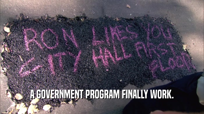 A GOVERNMENT PROGRAM FINALLY WORK.  