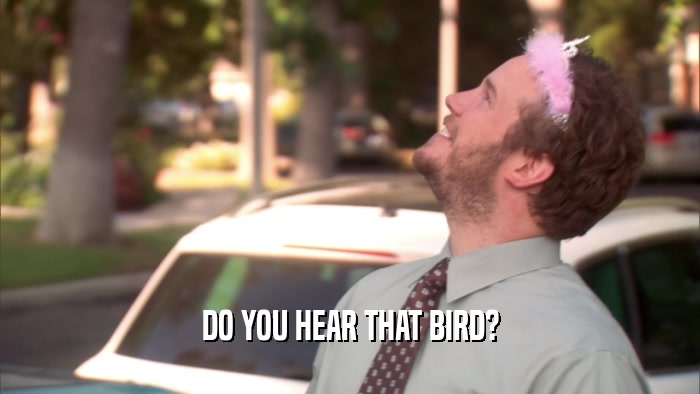 DO YOU HEAR THAT BIRD?  