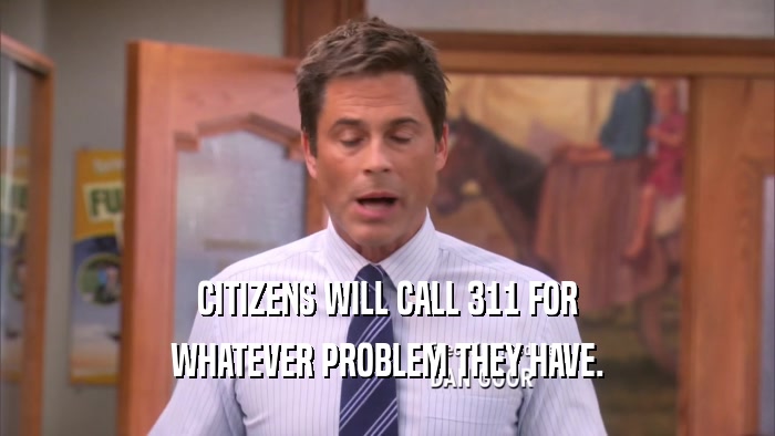 CITIZENS WILL CALL 311 FOR WHATEVER PROBLEM THEY HAVE. 