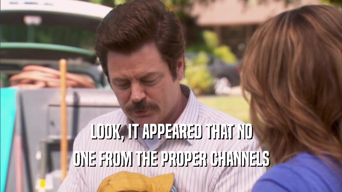 LOOK, IT APPEARED THAT NO ONE FROM THE PROPER CHANNELS 