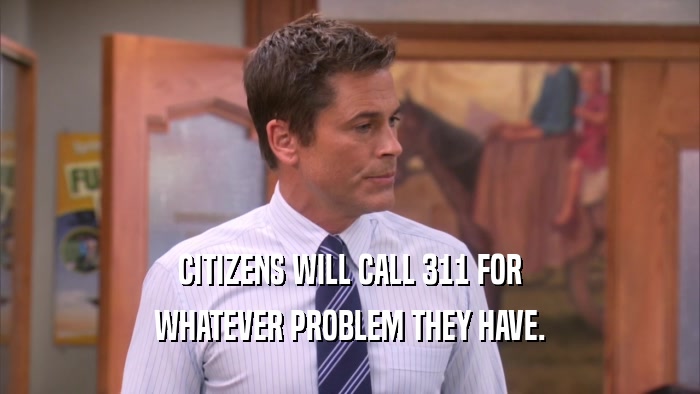 CITIZENS WILL CALL 311 FOR WHATEVER PROBLEM THEY HAVE. 