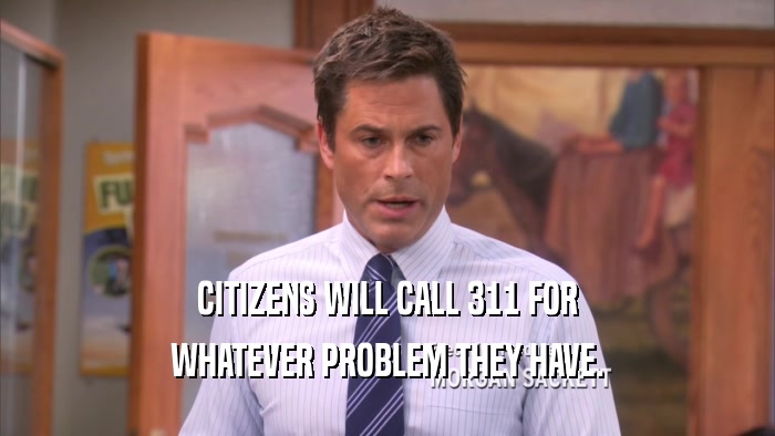 CITIZENS WILL CALL 311 FOR WHATEVER PROBLEM THEY HAVE. 