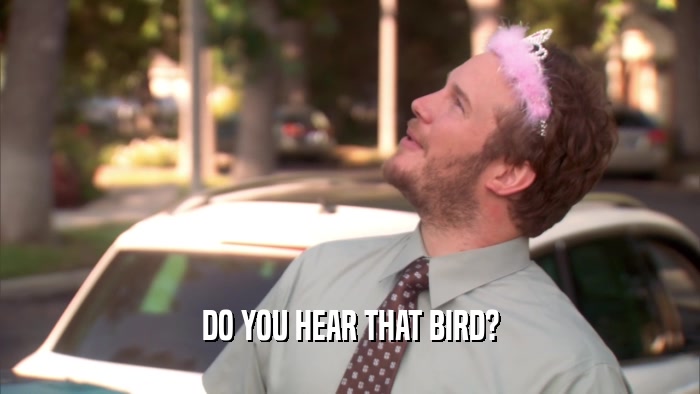 DO YOU HEAR THAT BIRD?  