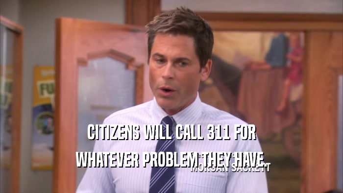 CITIZENS WILL CALL 311 FOR WHATEVER PROBLEM THEY HAVE. 
