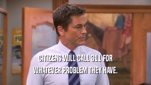 CITIZENS WILL CALL 311 FOR WHATEVER PROBLEM THEY HAVE. 