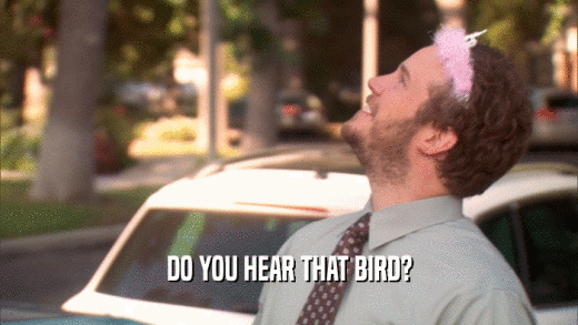 DO YOU HEAR THAT BIRD?  